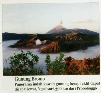 bromo