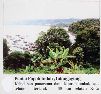 popohindah